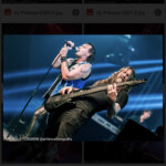 Img 3563png